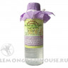 Шампунь «Лаванда»