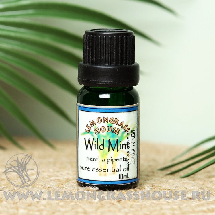 Эфирное масло дикой мяты