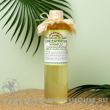 Шампунь «Концентрация» 