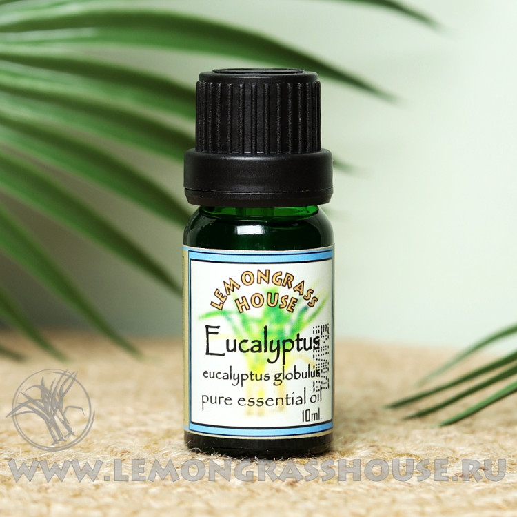 Эфирное масло эвкалипта